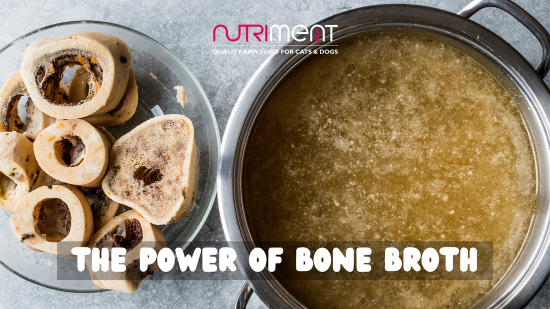 Benefits of bone broth for your pup!