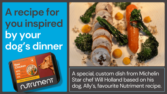 A recipe for you inspired by your dog's dinner!