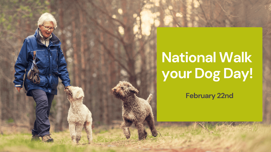 Celebrate National Walk your dog day on February 22nd