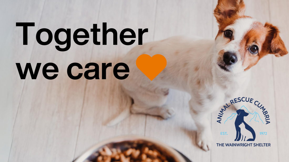 Together we care - Be part of our charity story!