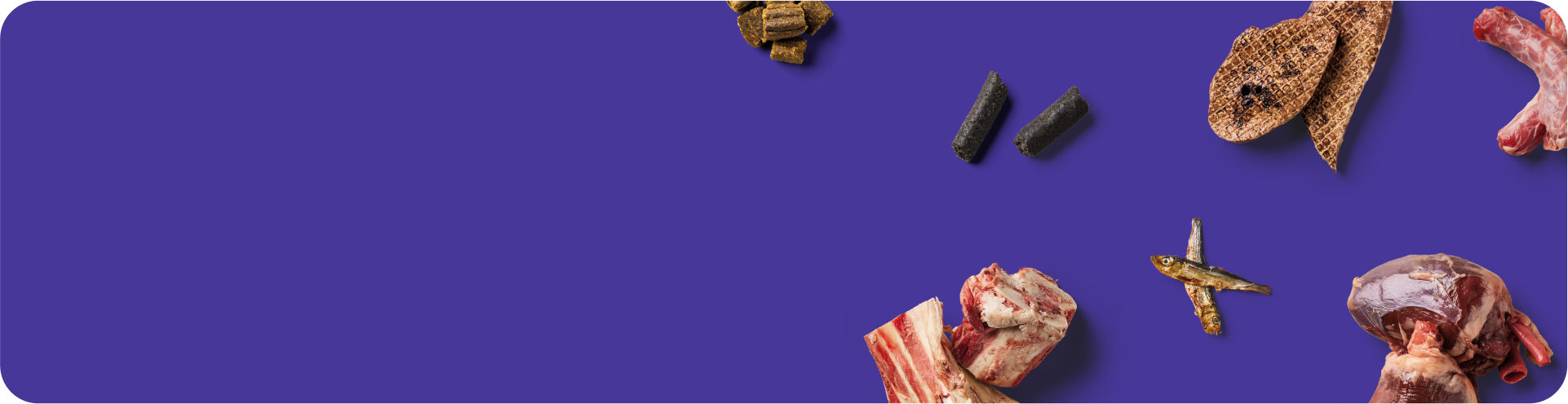 Various raw pet food ingredients, including meat chunks, fish, and dried treats, are scattered on a purple background.