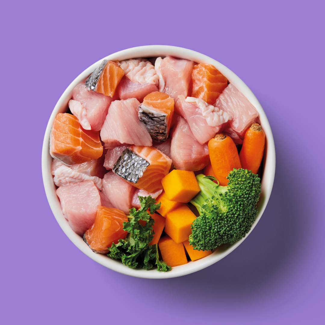 A bowl of Raw Salmon & Turkey dog food with broccoli, carrots, and kale on a purple background.