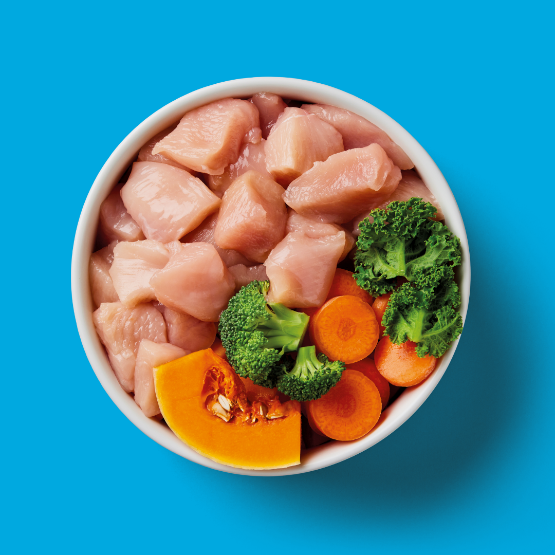 Bowl of Puppy Raw Chicken 1.4kg with broccoli, carrots, and pumpkin on a blue background.