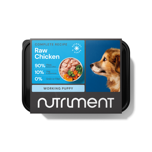 Puppy Raw Chicken 500g packaging features fresh meat and veggies with a brown dog on a blue backdrop.