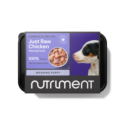 Weaning Paste Raw Chicken 500g for puppies, with a puppy and diced chicken on the label.