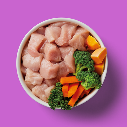 Senior Raw Chicken 500g—fresh meat, broccoli, carrots & squash on purple, ideal for senior dogs.