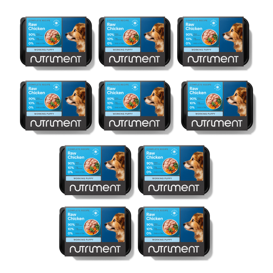 Ten packs of 5kg Puppy Starter Pack raw chicken dog food with blue labels and a dog image.