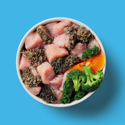 Light Support 500g: Low-fat, easy-digest dog food with fish, broccoli & carrot on a blue background.