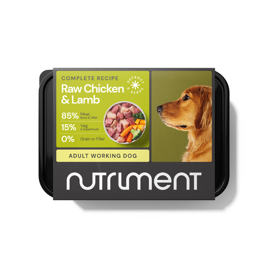 Grain-Free Raw Chicken & Lamb 500g: Fresh meat dog food, image of a dog, for adult dogs.