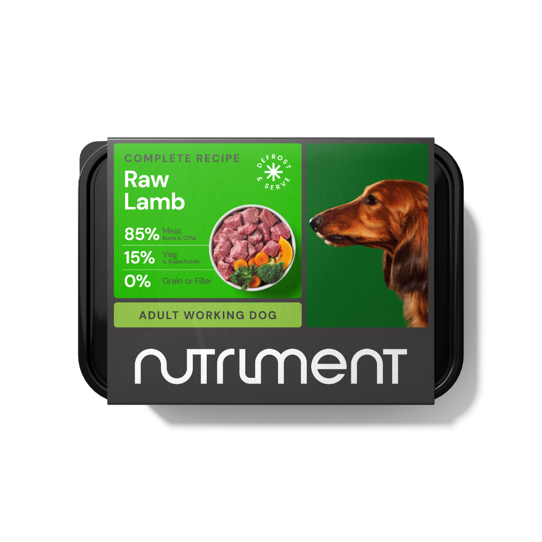 Raw Lamb 500g dog food with dachshund on a green, grain-free package.