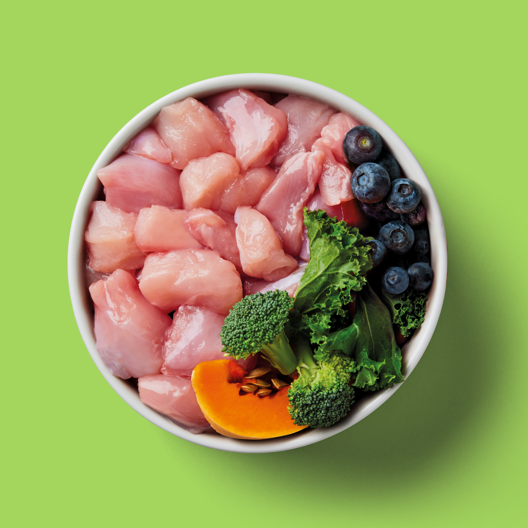 A bowl of Raw Rabbit 500g dog food with chicken, veggies, and berries on a lime green backdrop.