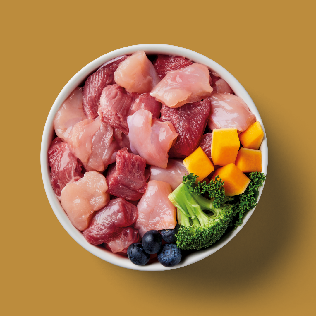 A bowl of Raw Rabbit & Turkey 500g with broccoli, blueberries, and diced squash on a brown background.