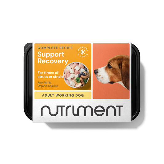 Recovery Support 500g is a grain-free dog food with raw fish and chicken, rich in Omega 3 fatty acids.