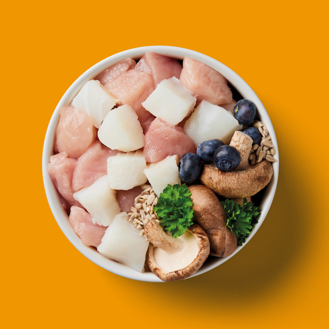 The Recovery Support 500g bowl includes diced chicken, Omega-3 fish, mushrooms, blueberries, seeds, and parsley.