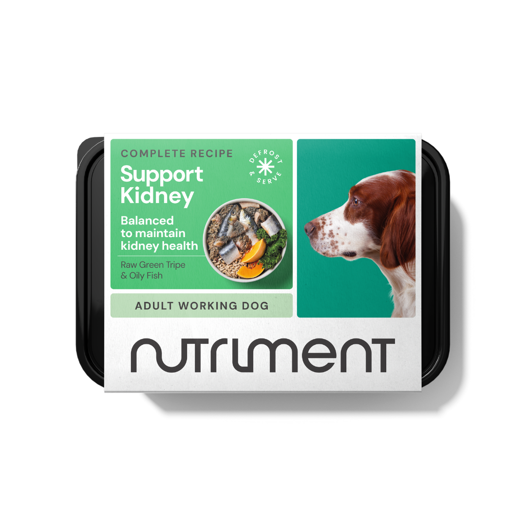 Kidney Support 500g: Boost your dog's kidney health with fish food.