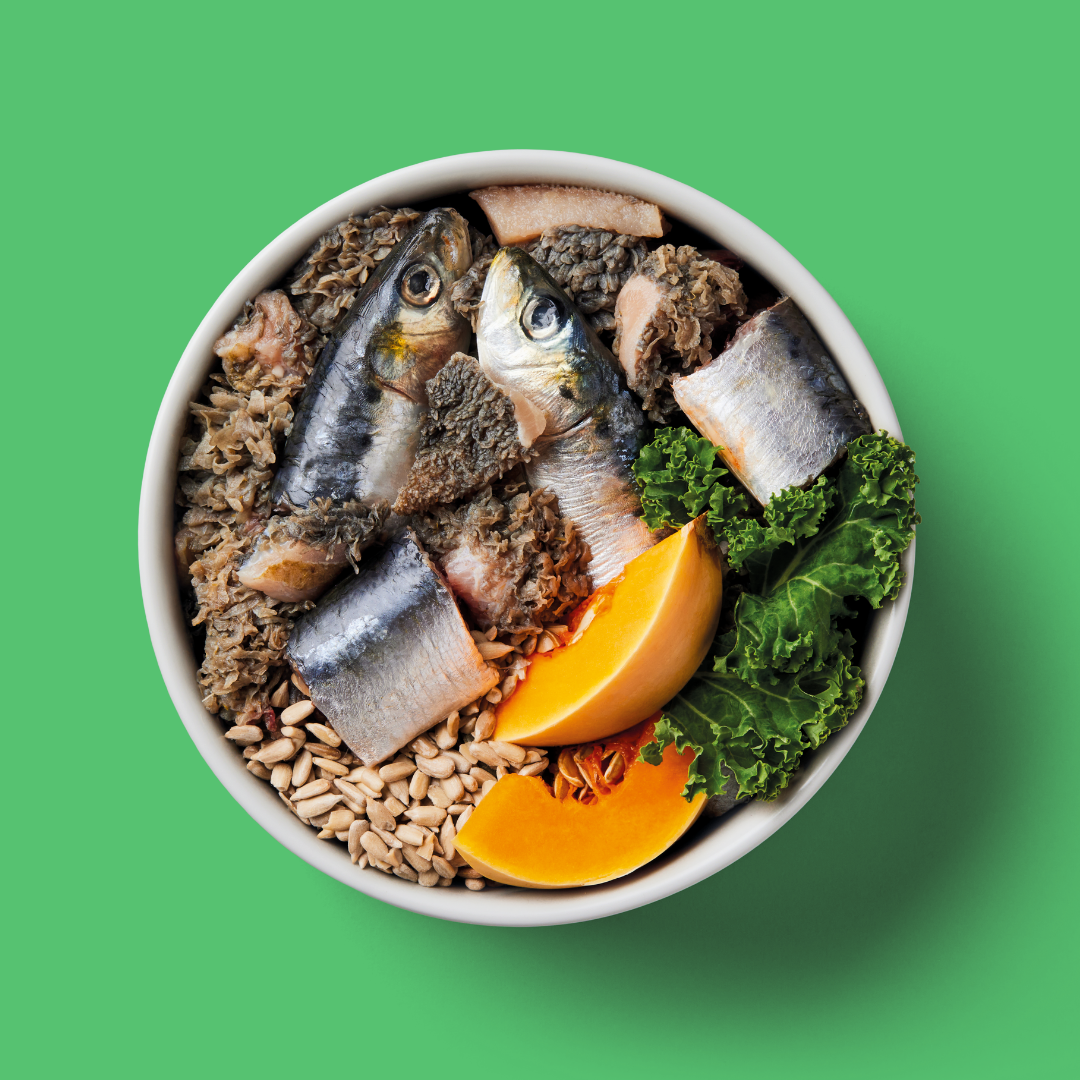 Kidney Support 500g with fish, pumpkin, and kale for species-appropriate diets on a green background.