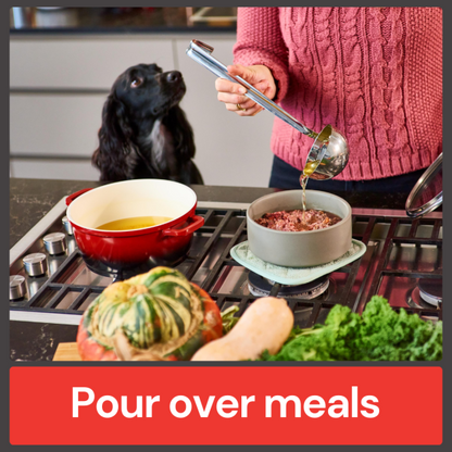 Pour over meals with Beef Bone Broth 500ml as a dog watches eagerly.