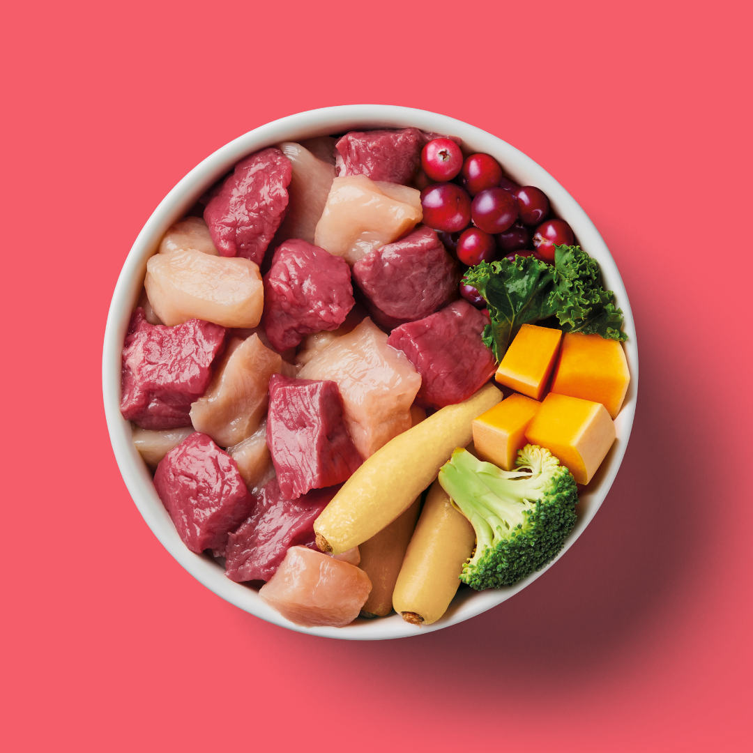 A bowl of Raw Venison & Turkey with squash, broccoli, cheese, kale, berries on a pink background.