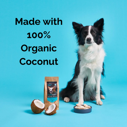 Border Collie near Organic Coconut Sticks 500g: "Made with 100% Organic Coconut.