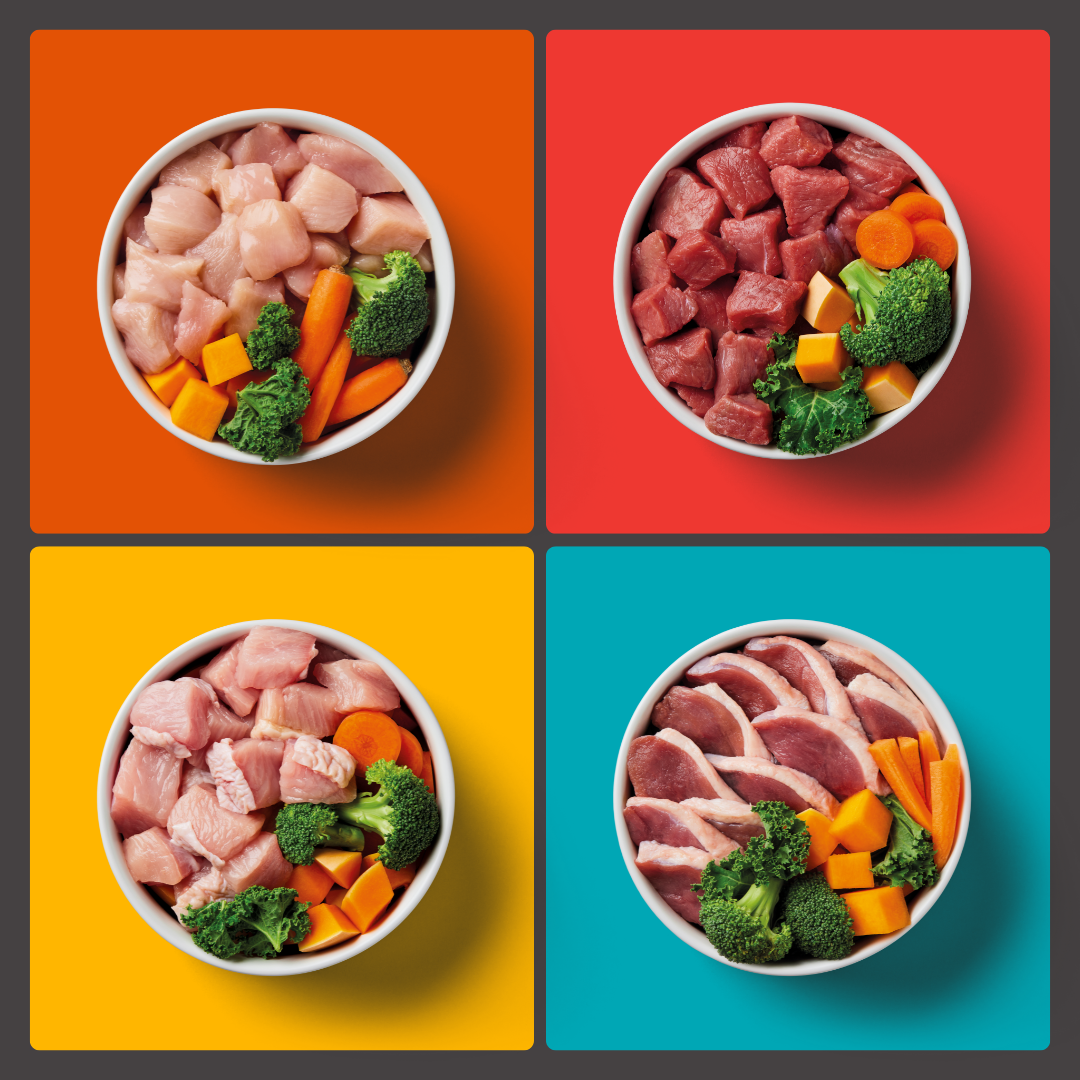 Four bowls from the 10kg Adult Mixer Box with raw dog food, carrots, and broccoli on colorful backgrounds.