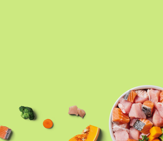 Bowl of salmon pieces next to scattered vegetables on a light green background.