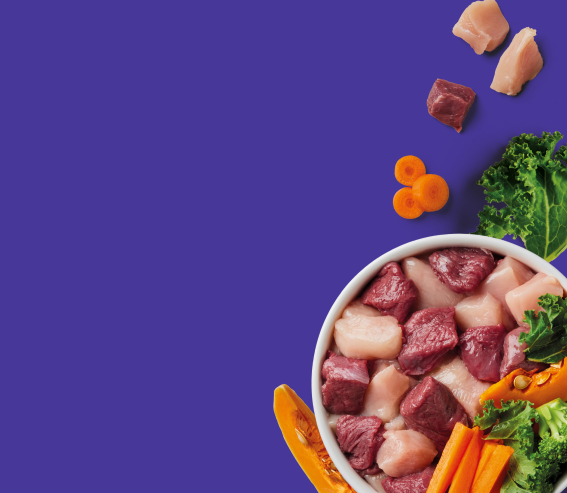 Nutriment'srange vension and chicken recipe bowl with ingredients. Broccoli, butternut squash, carrot and kale pieces are placed outside the bowl.