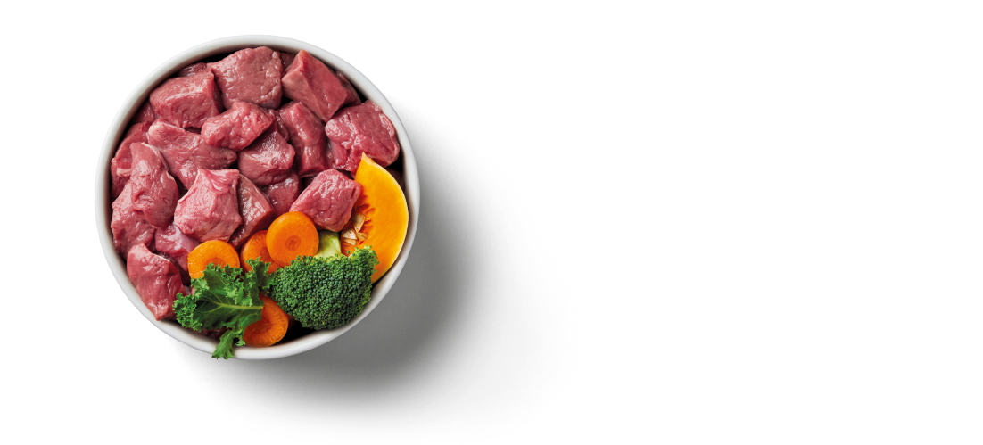 Bowl of raw meat chunks with sliced vegetables, including carrots, broccoli, kale, and pumpkin, on a white background.