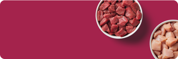 Two bowls of diced meat on a maroon background, one with red meat, the other with poultry.