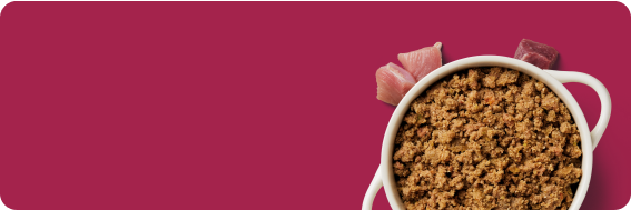 White bowl of minced meat next to raw meat pieces on a burgundy background.