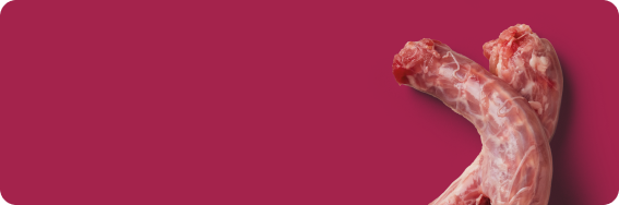 Two raw meat pieces on a red background.