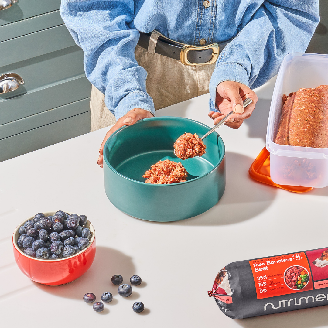 Person in denim shirt makes pet food with blueberries, Raw Boneless Beef 1kg, and Scottish Cold Water Salmon Oil.