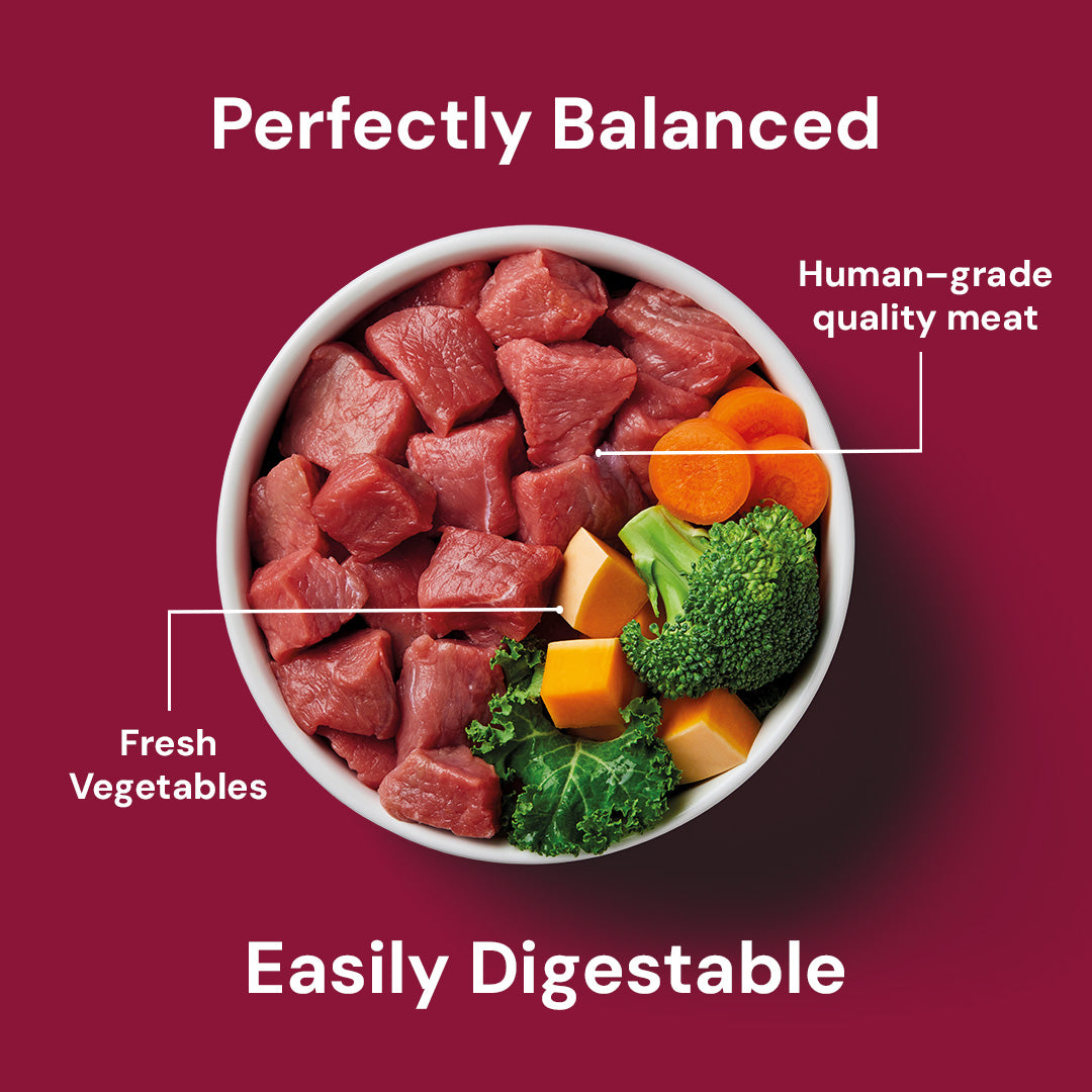 Bowl of British Raw Boneless Beef with vegetables, labeled "Perfectly Balanced" and "Easily Digestible.