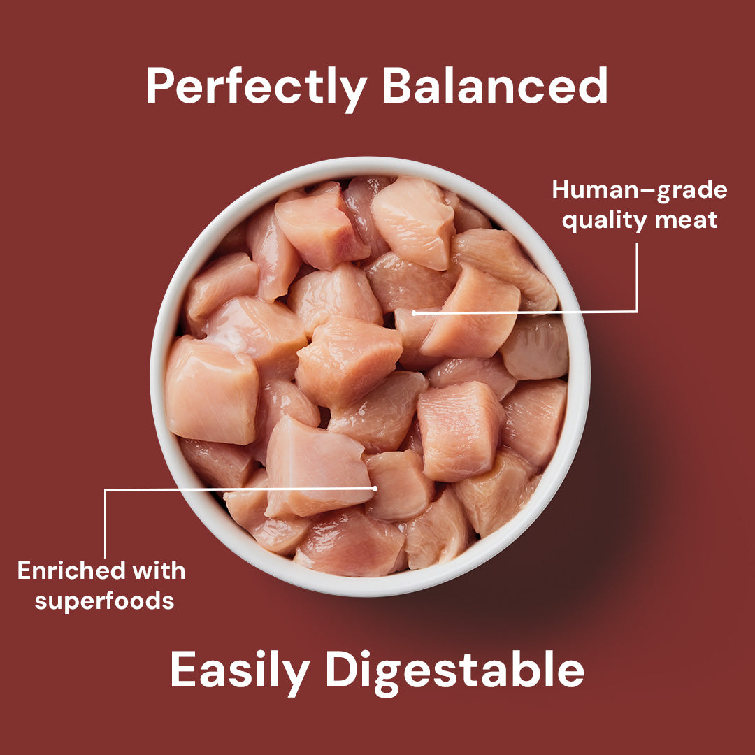 500g bowl of raw human-grade chicken for cats, enriched with superfoods; "Perfectly Balanced, Easily Digestible.