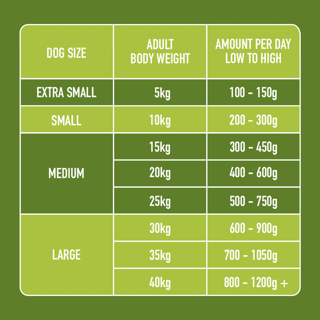 Dog feeding chart: Raw Chicken & Lamb 500g, fresh meat options for all sizes, detailing weight and grams.