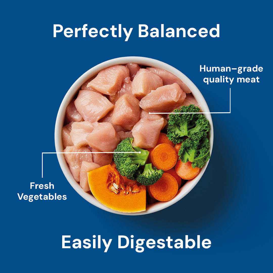 Puppy Raw Chicken 500g with fresh meat, broccoli, carrots, and squash on blue background labeled as nutritious formula.