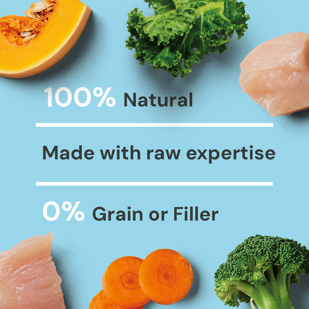 Puppy Raw Chicken 500g: Fresh chicken, pumpkin, and kale. Made with raw expertise, 0% grain or filler.