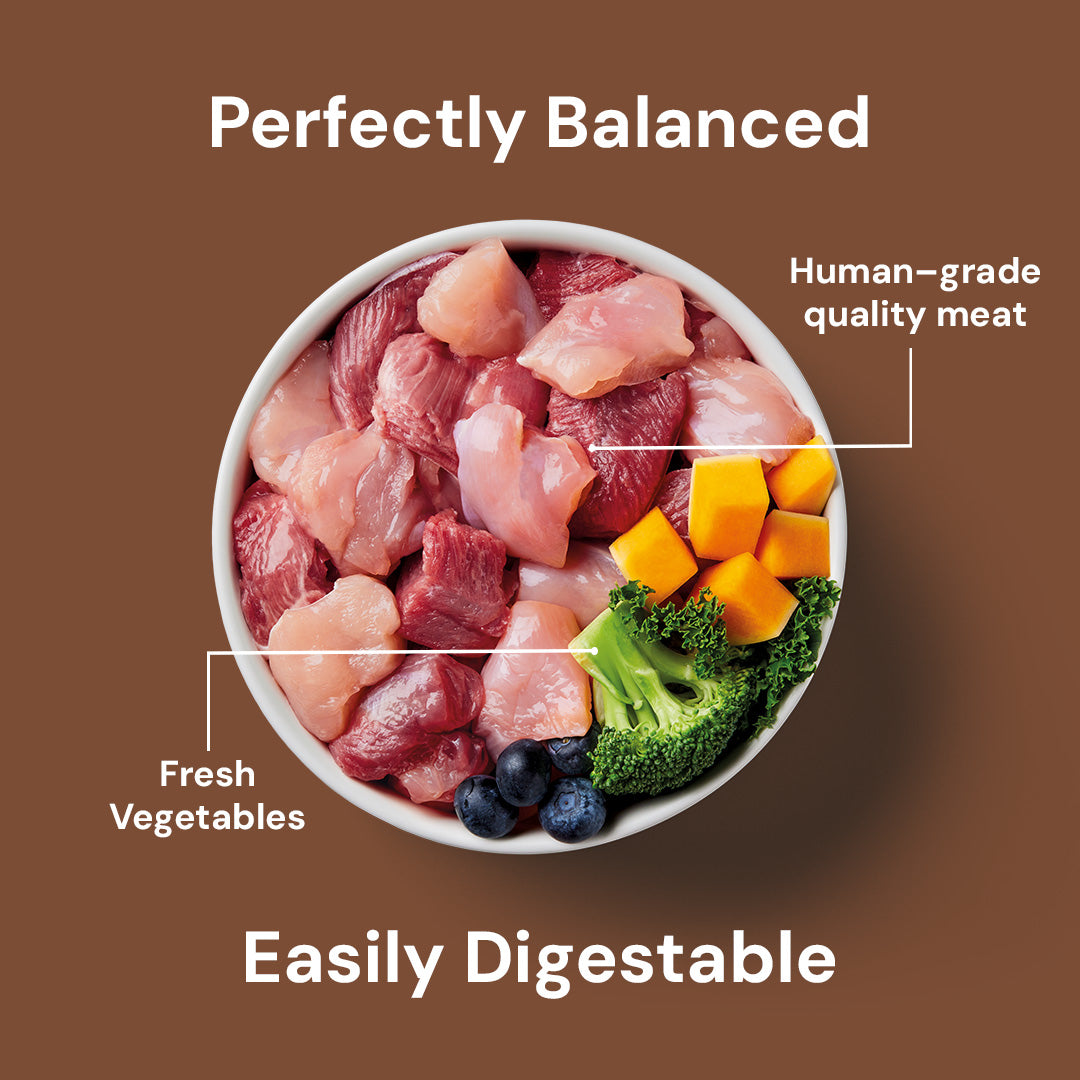 500g Raw Rabbit & Turkey, a premium, human-grade dog food that's perfectly balanced and easy to digest.