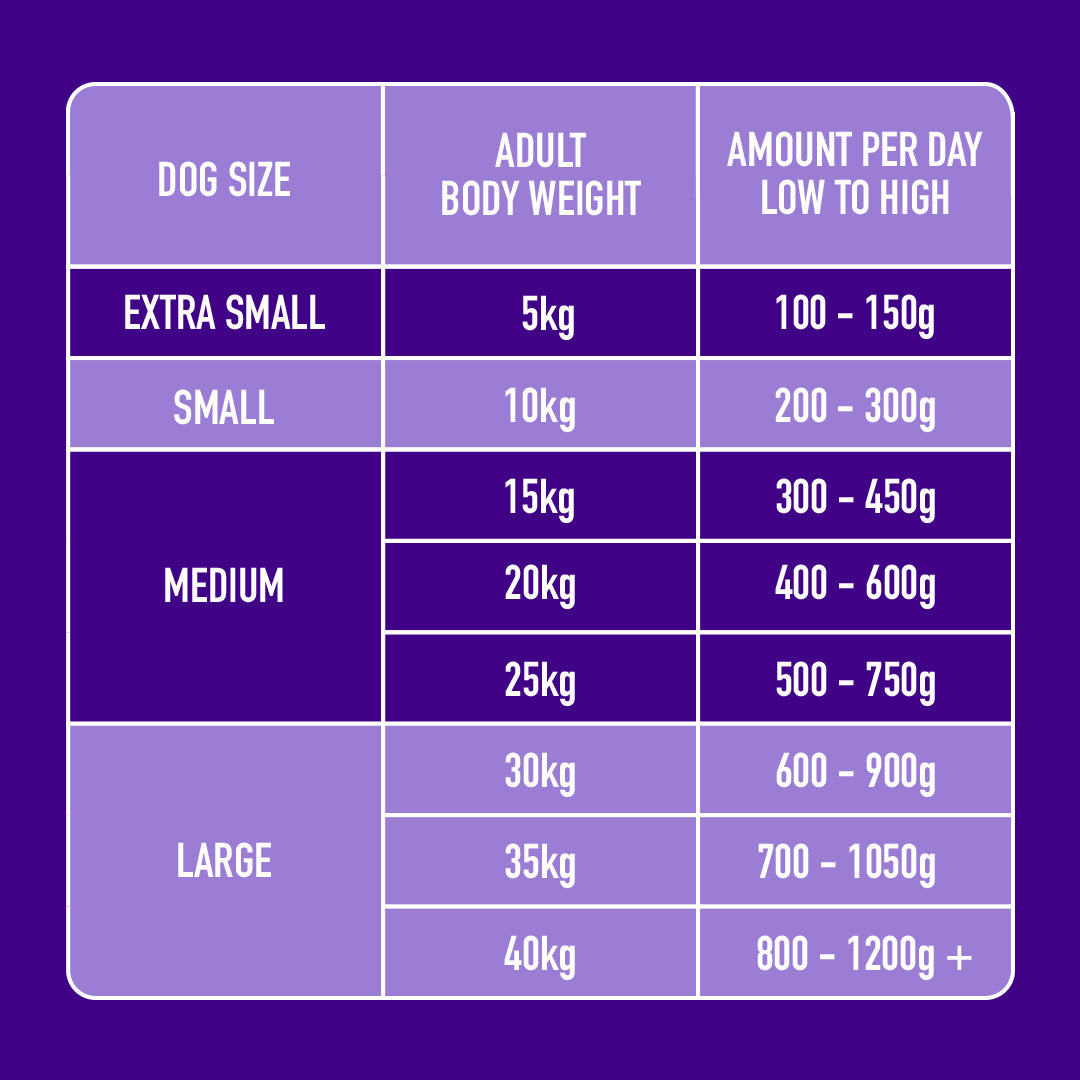 Raw Salmon & Turkey 500g chart for grain-free purple dogs showing daily portions by size and weight.