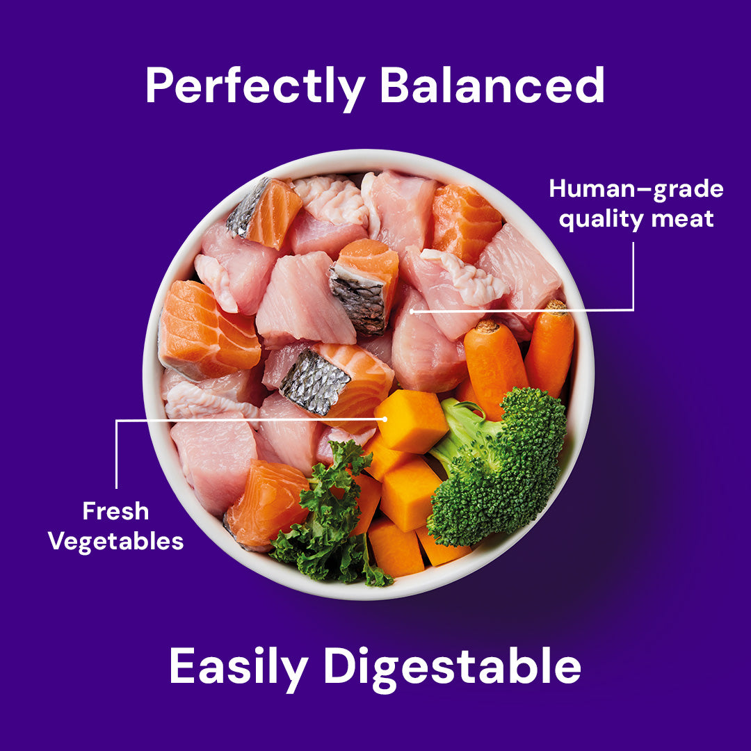 Bowl of Raw Salmon & Turkey dog food with vegetables labeled "Human-grade quality meat" on a purple background.