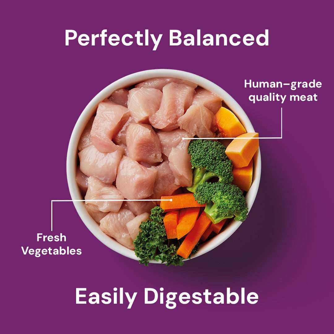 Bowl of Senior Raw Chicken 500g with diced chicken and veggies on a purple background.