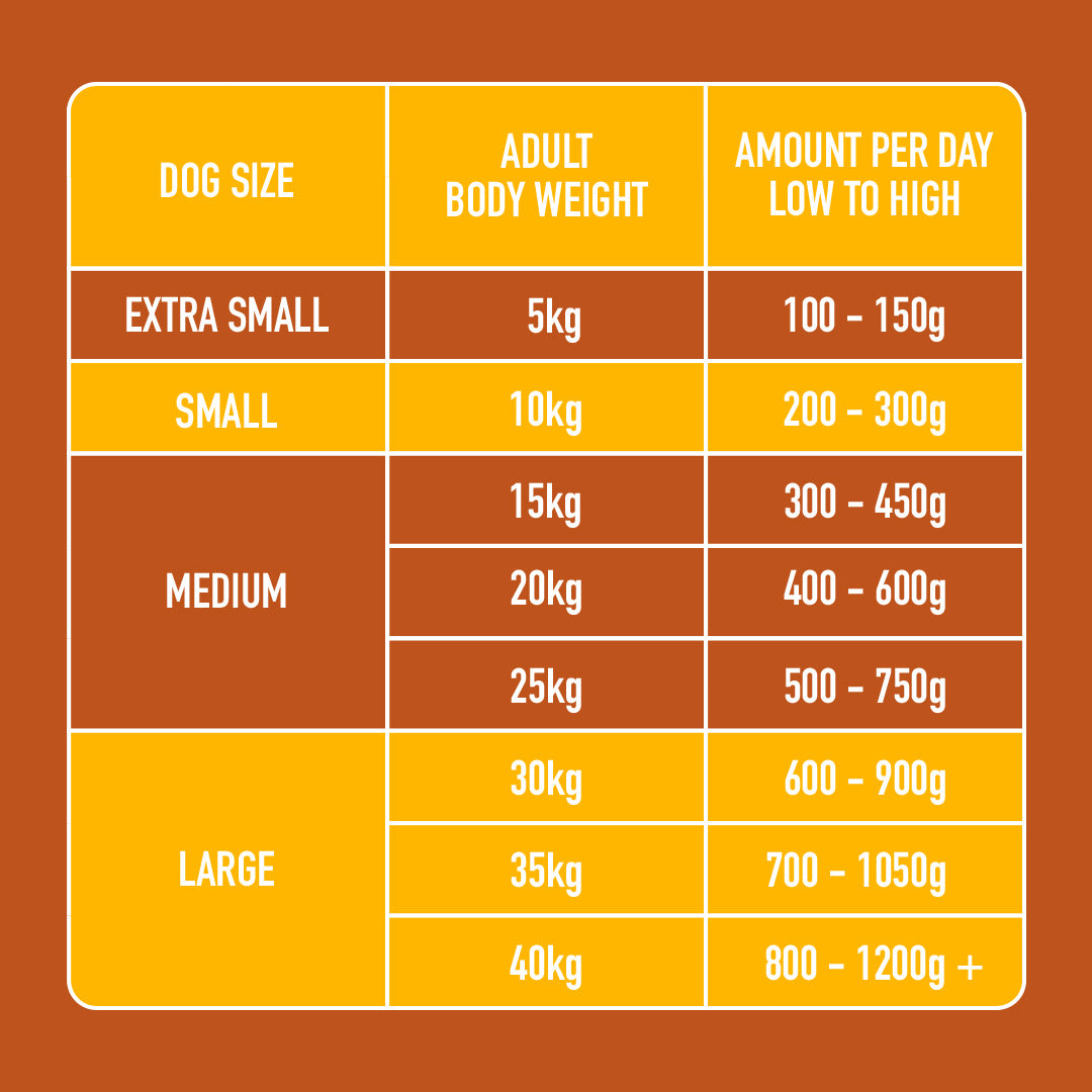 Chart of dog food sizes: XS 100-150g, S 200-300g, M 400-750g, L 600-1200g+, includes fresh meat like Raw Turkey.