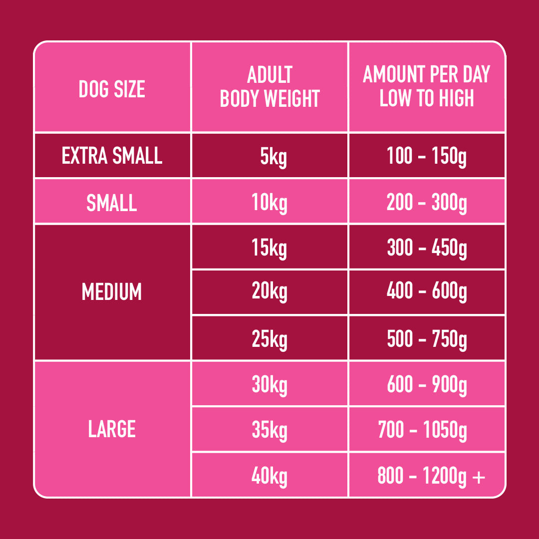 Chart showing Raw Venison & Chicken 500g dog food amounts by size: extra small to large, daily from 100g to 1200g+.