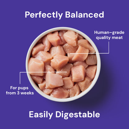 The Weaning Paste Raw Chicken 500g is a perfectly balanced, easily digestible meal for puppies from 3 weeks old.