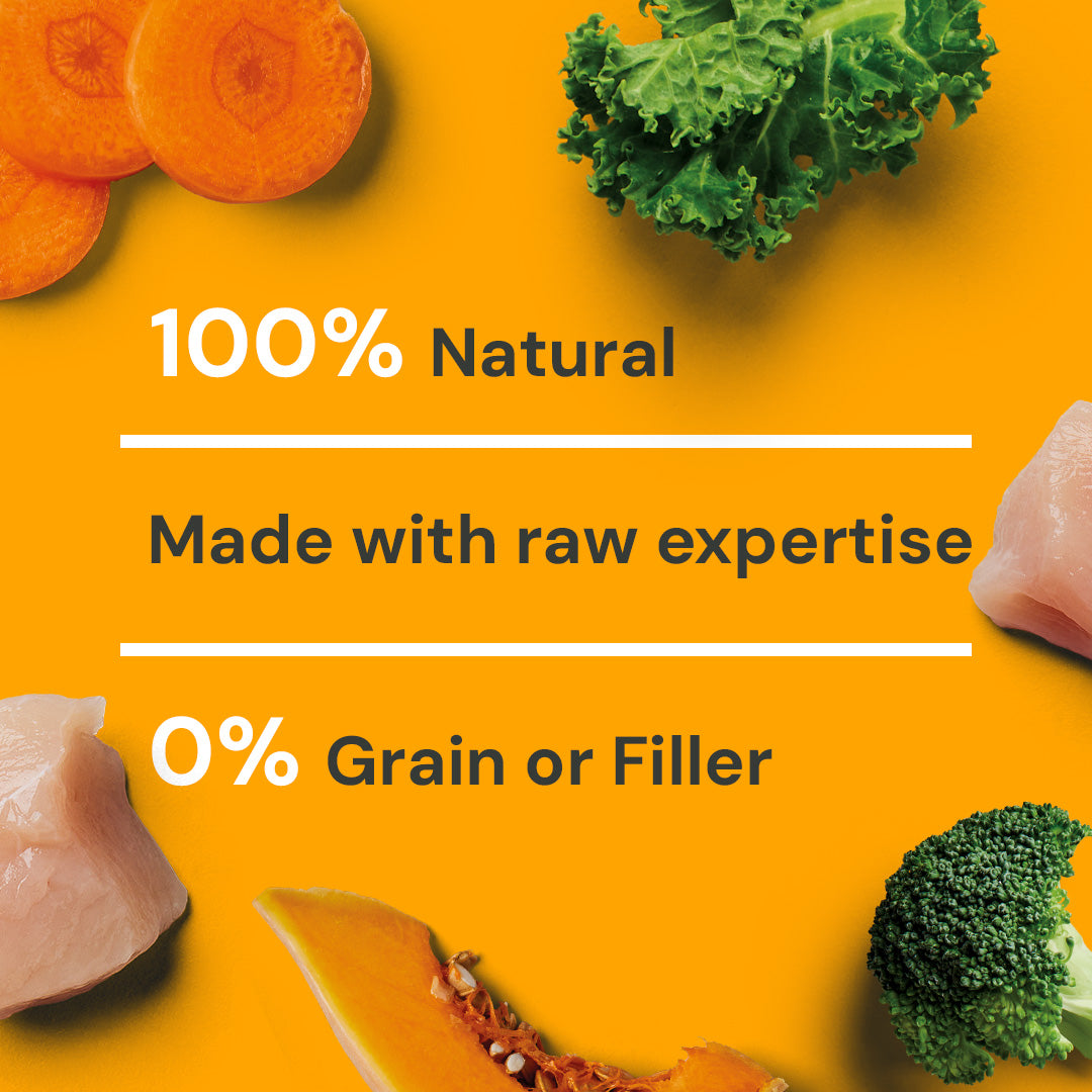 Orange background with "100% Natural, 0% Grain or Filler," perfect raw food mixer surrounded by raw foods.