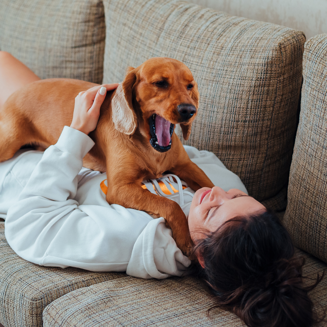 Cuddle woman dog