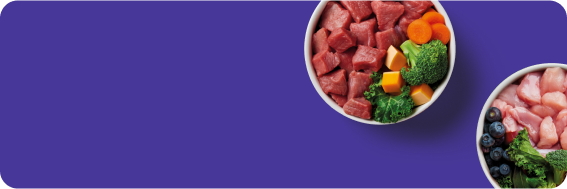 Two bowls with raw meat, vegetables, and fruits on a purple background.