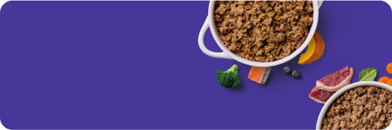 Two bowls of cooked ground meat with vegetables and berries on a purple background.