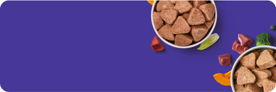 Two bowls of triangular pet food on a purple background with scattered vegetables and meat pieces.