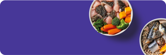 Two bowls of fresh food with vegetables, chicken, sardines, and seeds on a purple background.