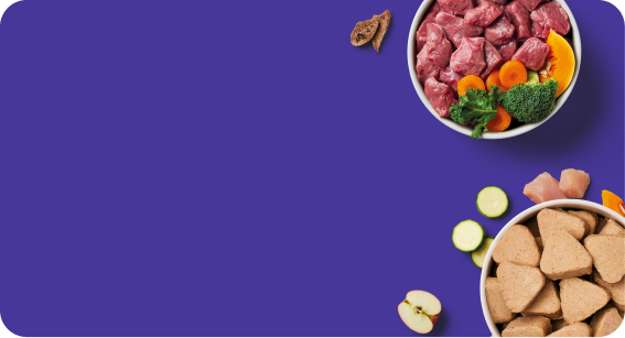 Two bowls of pet food with meat, vegetables, and treats on a purple background.